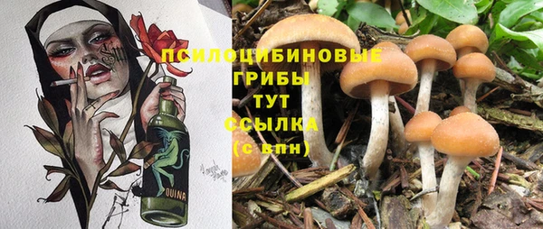 MESCALINE Майский